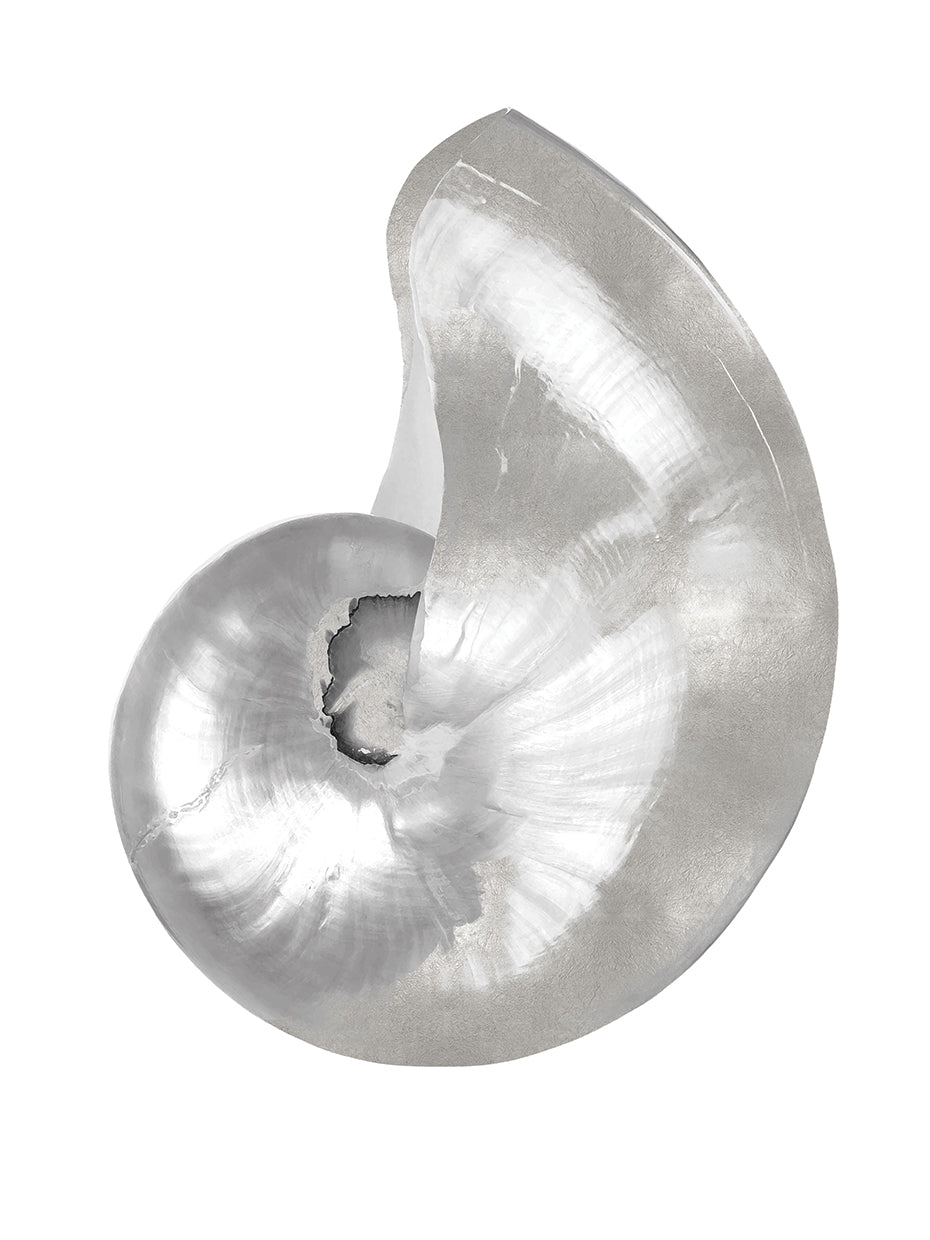 Silver Pearl Shell I