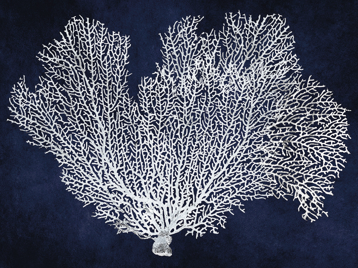 Sea Fan on Indigo Blue I