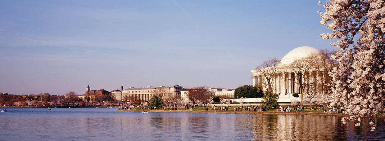 Recorrido histórico de DC Lienzo