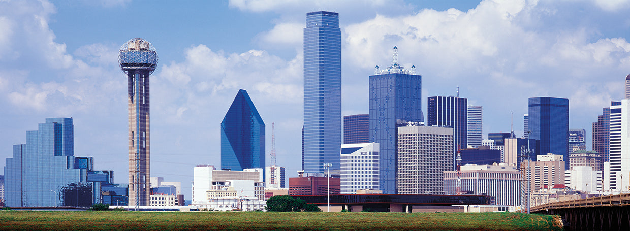 Dallas Means Business