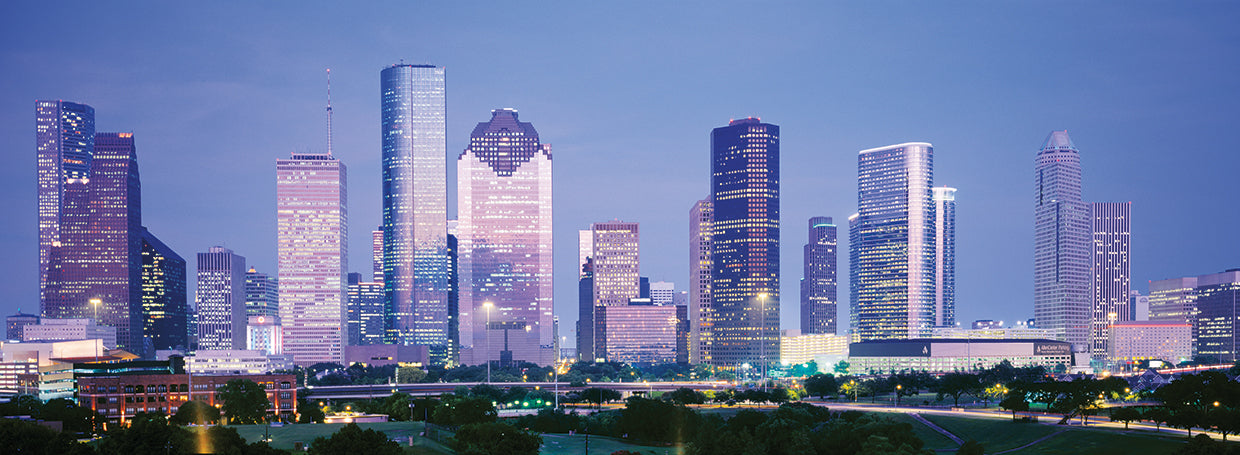 En lo alto de Houston Lienzo