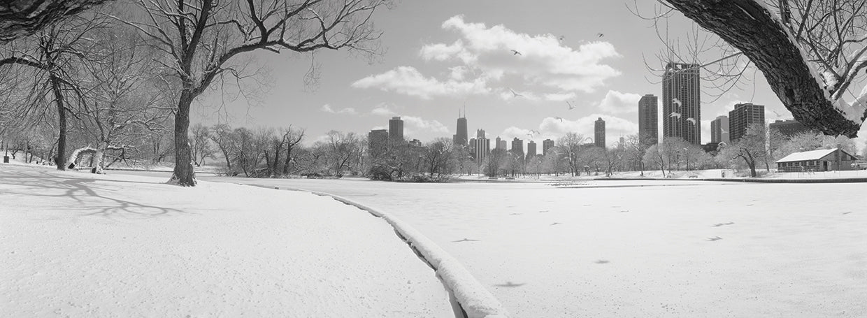 Snowy Lincoln Park