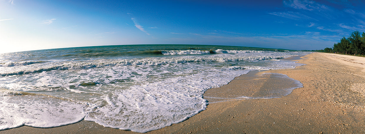 Sanibel Shell Beach