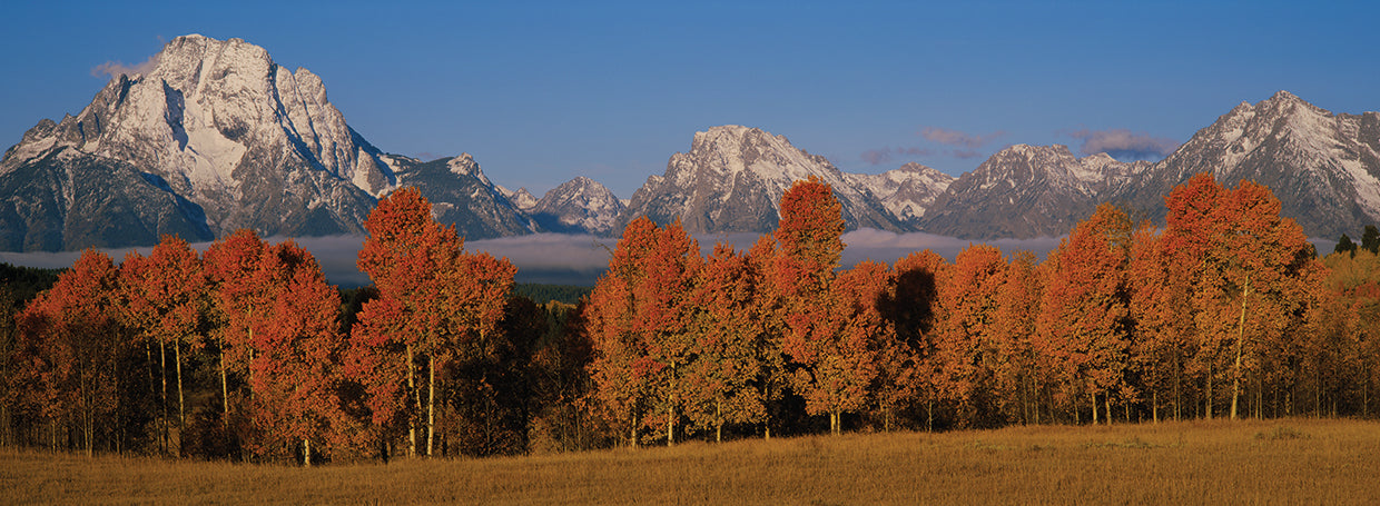 Pano Fall Tetons