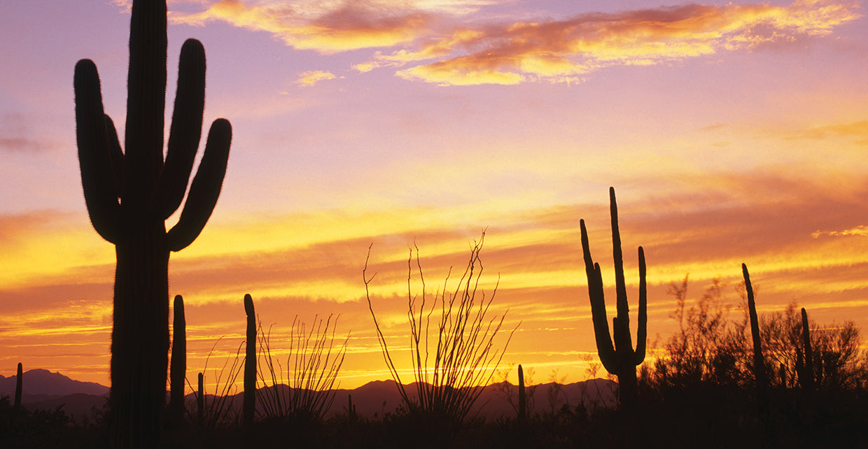 Southwest Gold Sunset