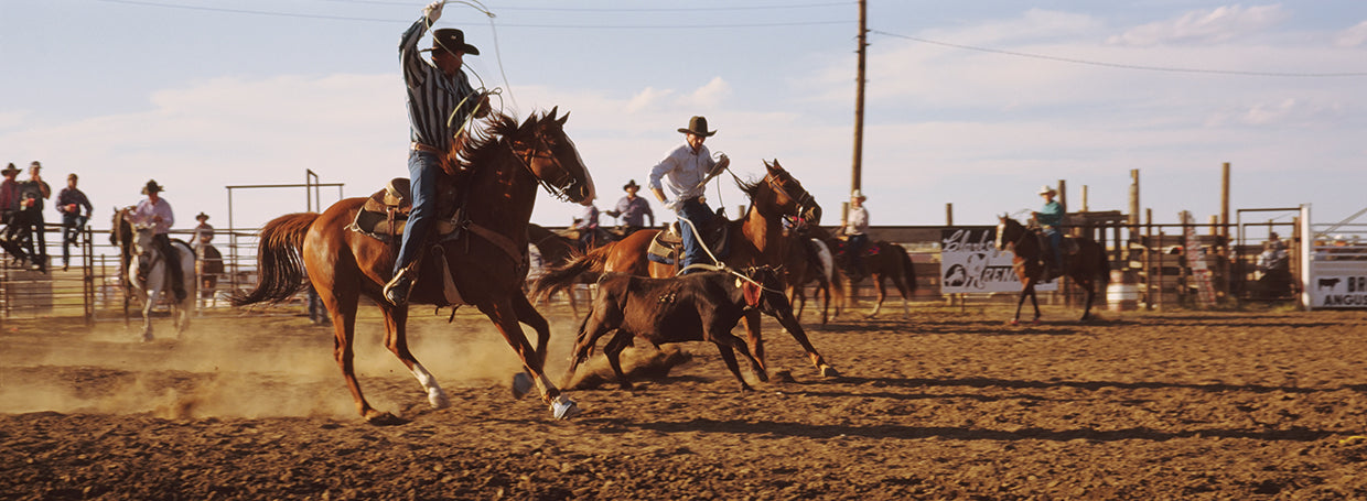 Dakota Roping Cowboys