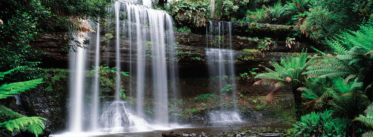 Cascadas de Tasmania Lienzo