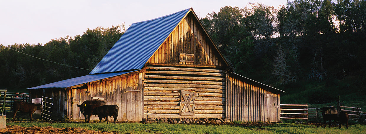 Rustic Colorado Ranch