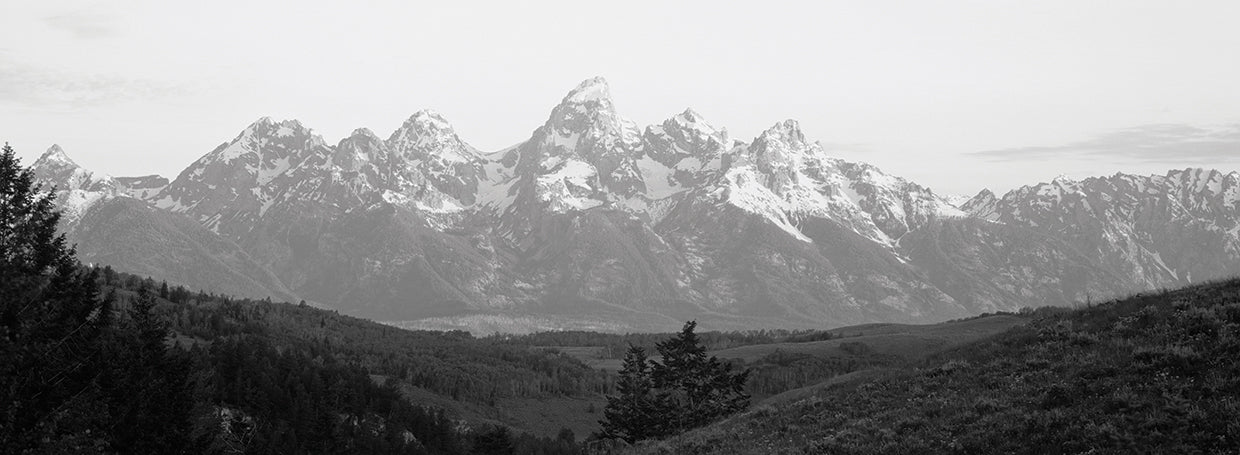Misty Grays Teton Peaks Lienzo