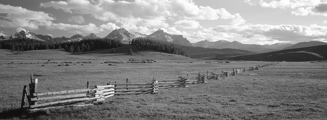 Sawtooth Mountains Field