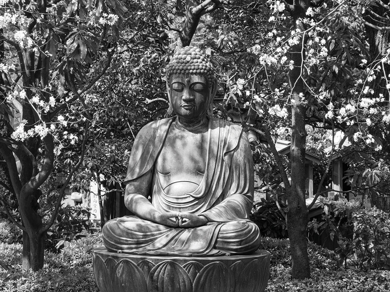 Zen Garden Buddha
