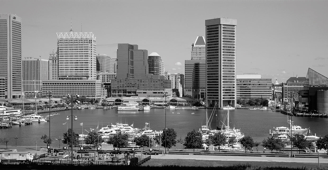 Horizonte del puerto de Baltimore Lienzo