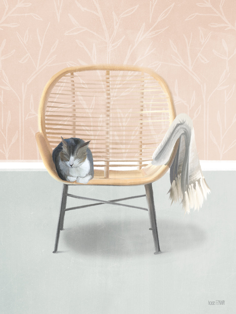 Nap Time Gray and White Cat