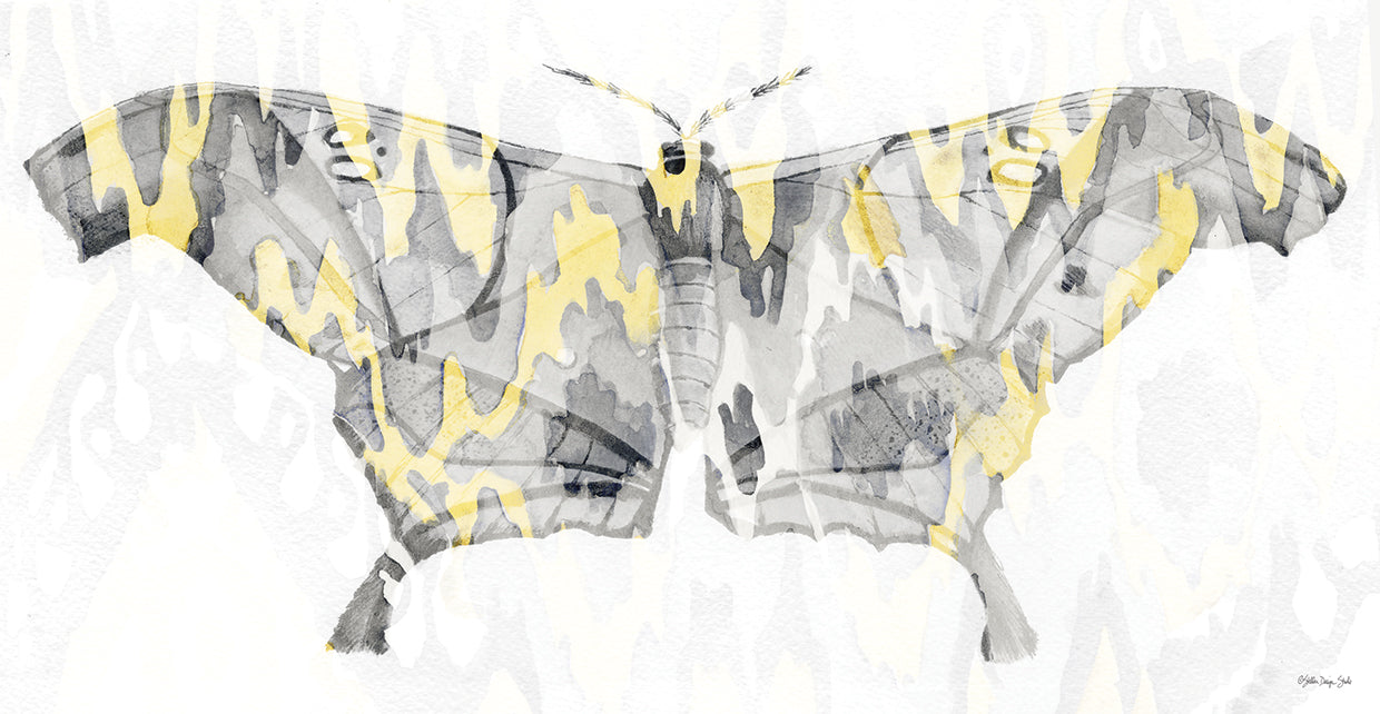 Polilla estampada amarillo-gris 2 Lienzo