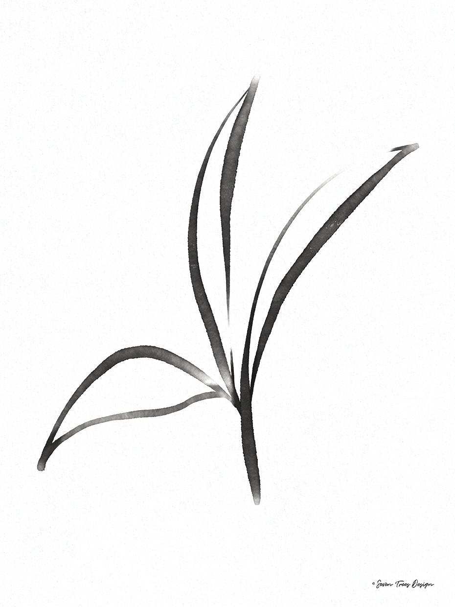 Black Botanical Watercolor