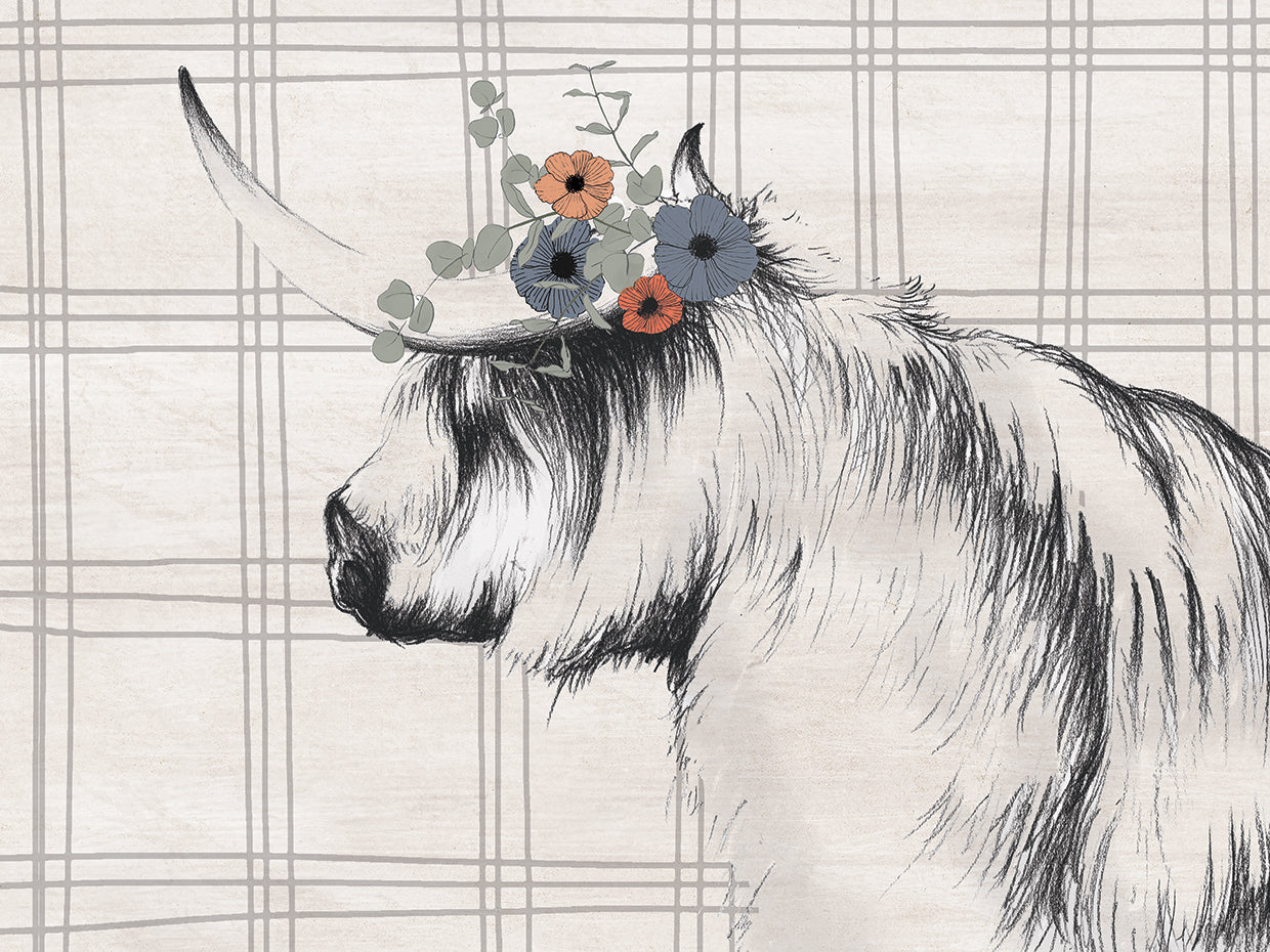 Highland Cow in Gray