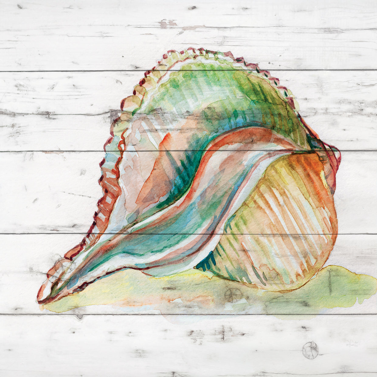 Tye Dyed Shell II