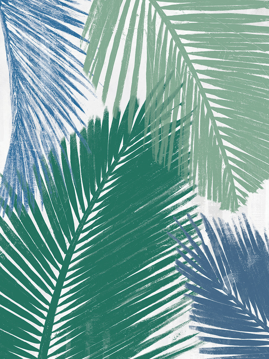Barú Palm Collage I
