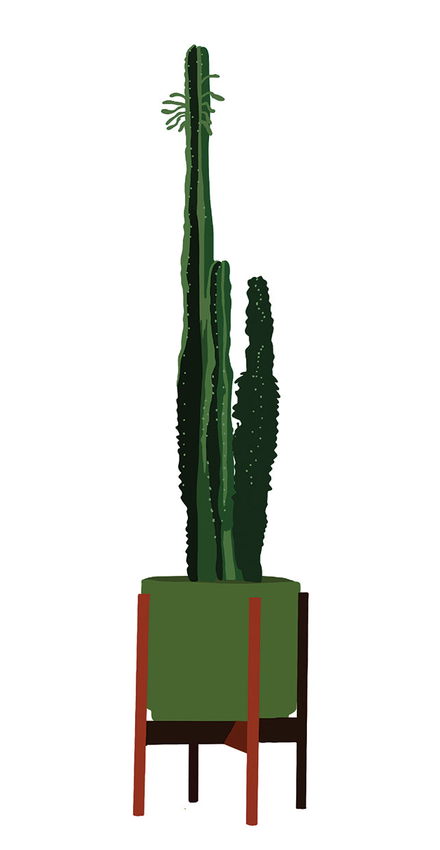 Modern Cacti Pot I