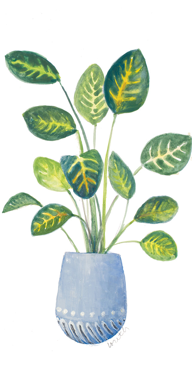 Croton en maceta azul Lienzo