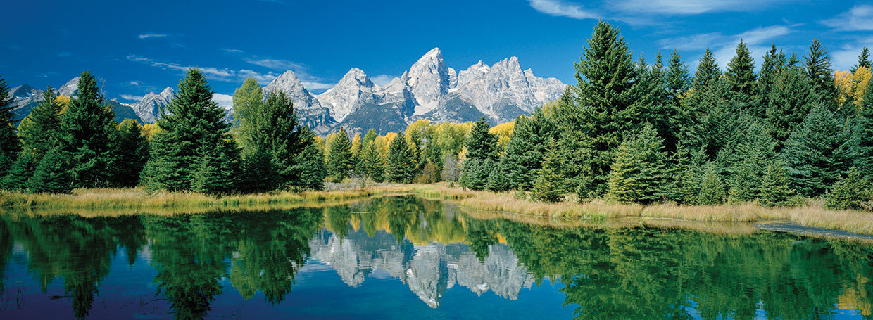 Reflexiones de los Tetons Lienzo