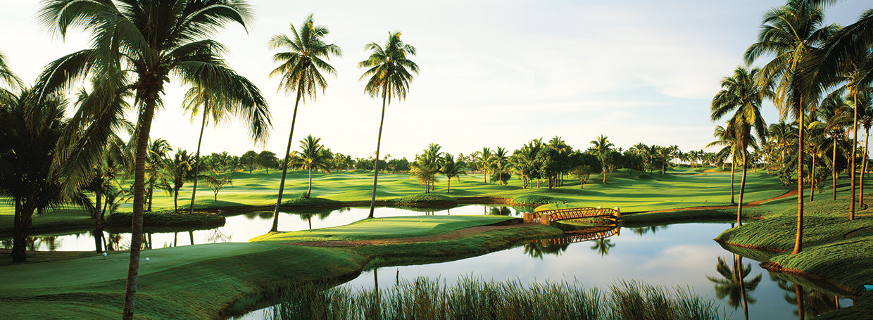 Tropical Golf Vacation