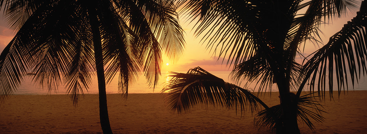 Jamaican Love Sunset