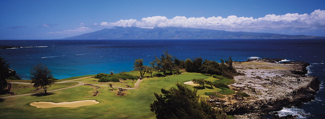 Aloha Golf Maui Lienzo