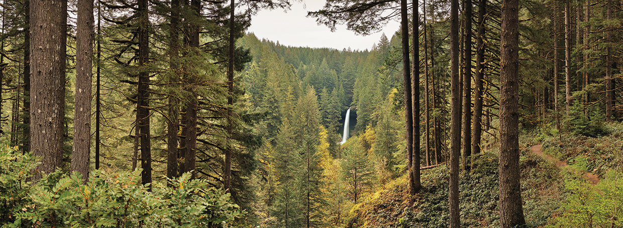 Silver Falls Oregon