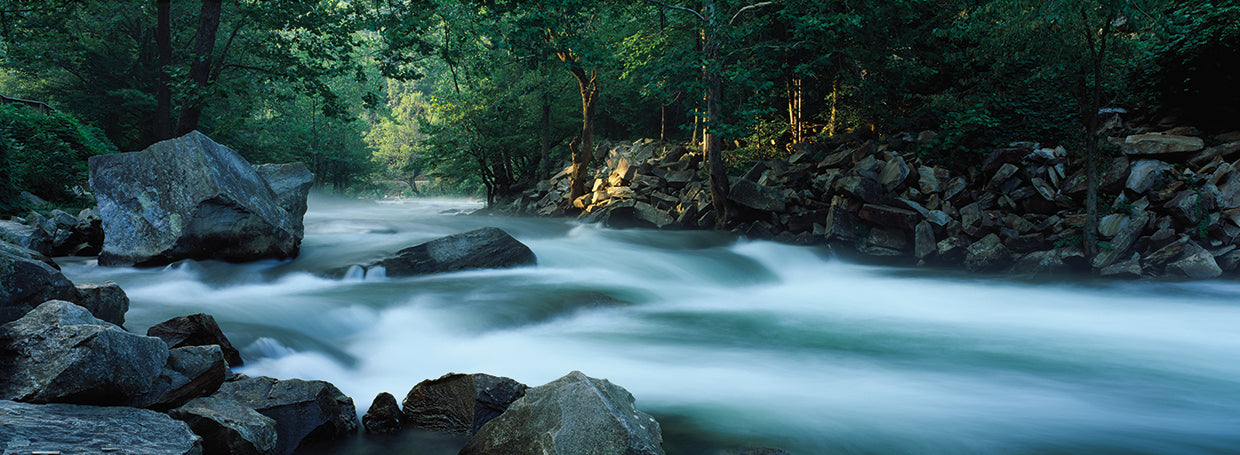 North Carolina River