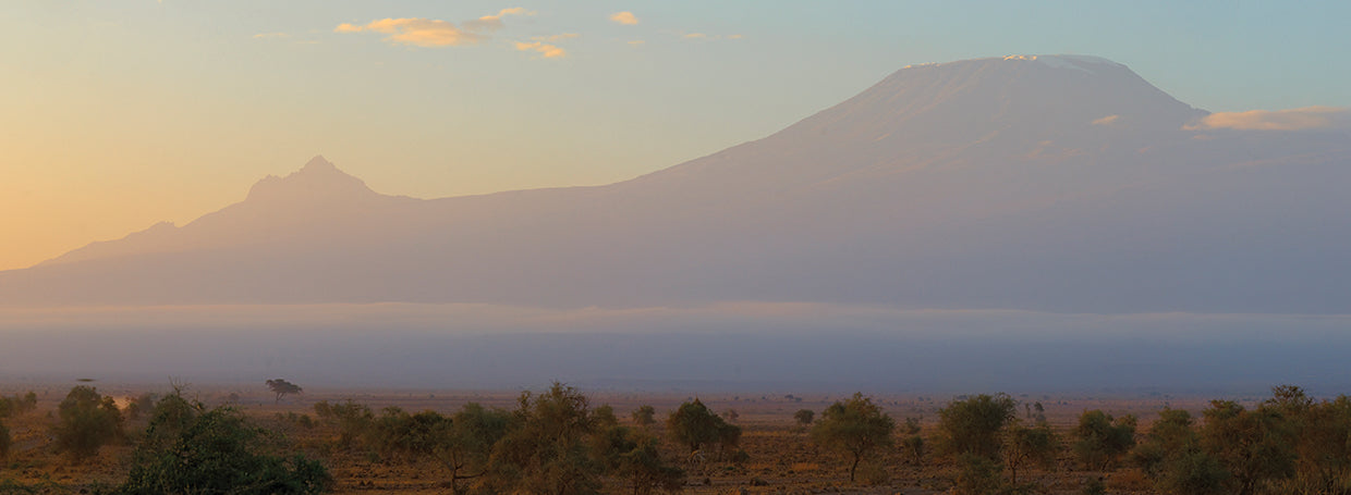 Amanecer del Kilimanjaro Lienzo