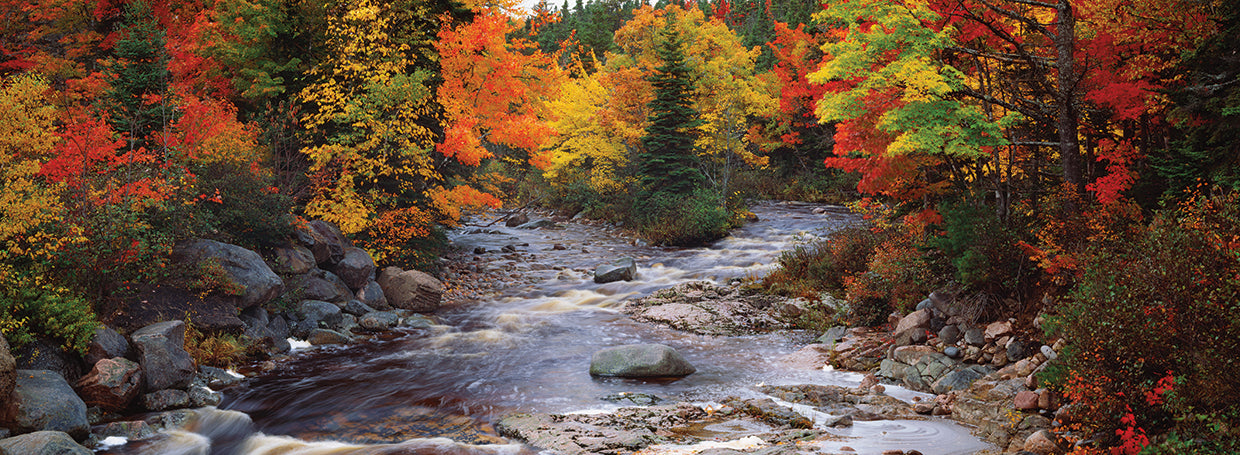 Nova Scotia Autumn