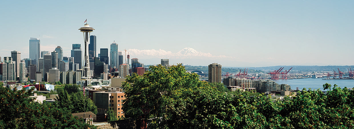 Toque Sky Space Needle Lienzo