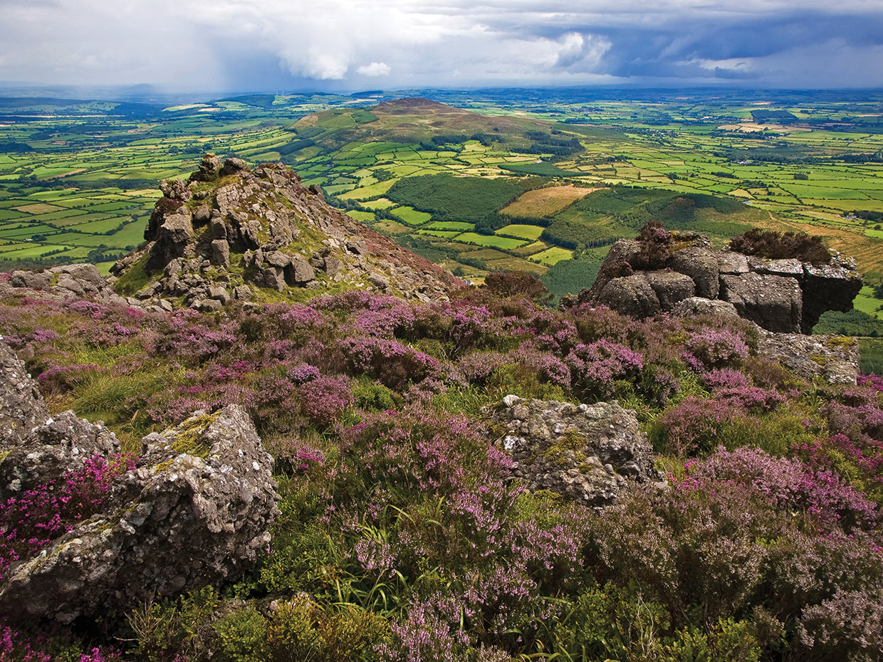 Waterford Ireland Fields