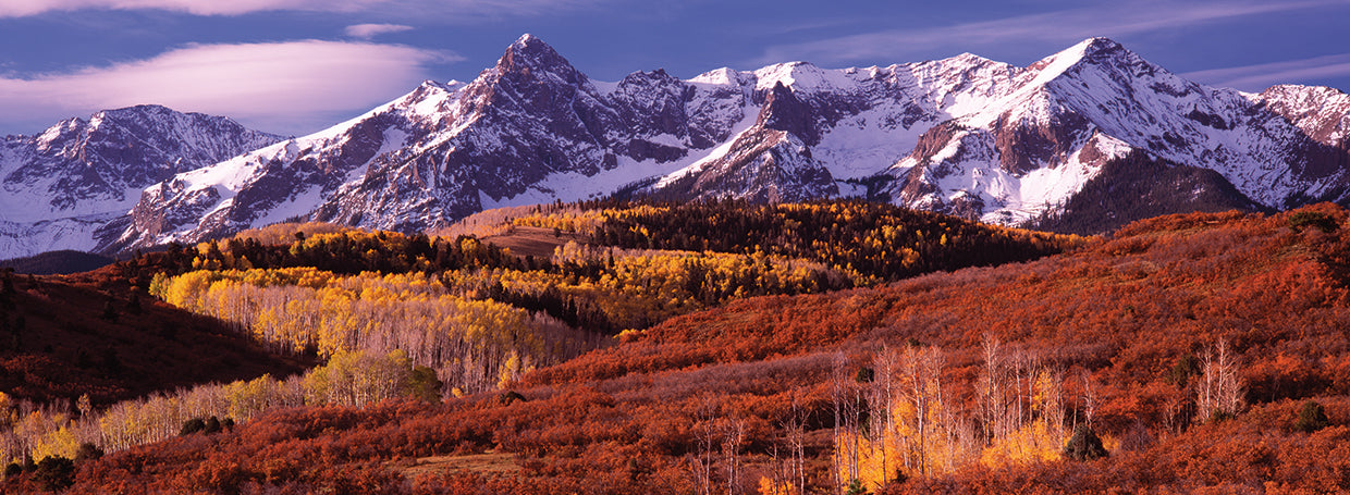 Otoño colorido de Colorado Lienzo