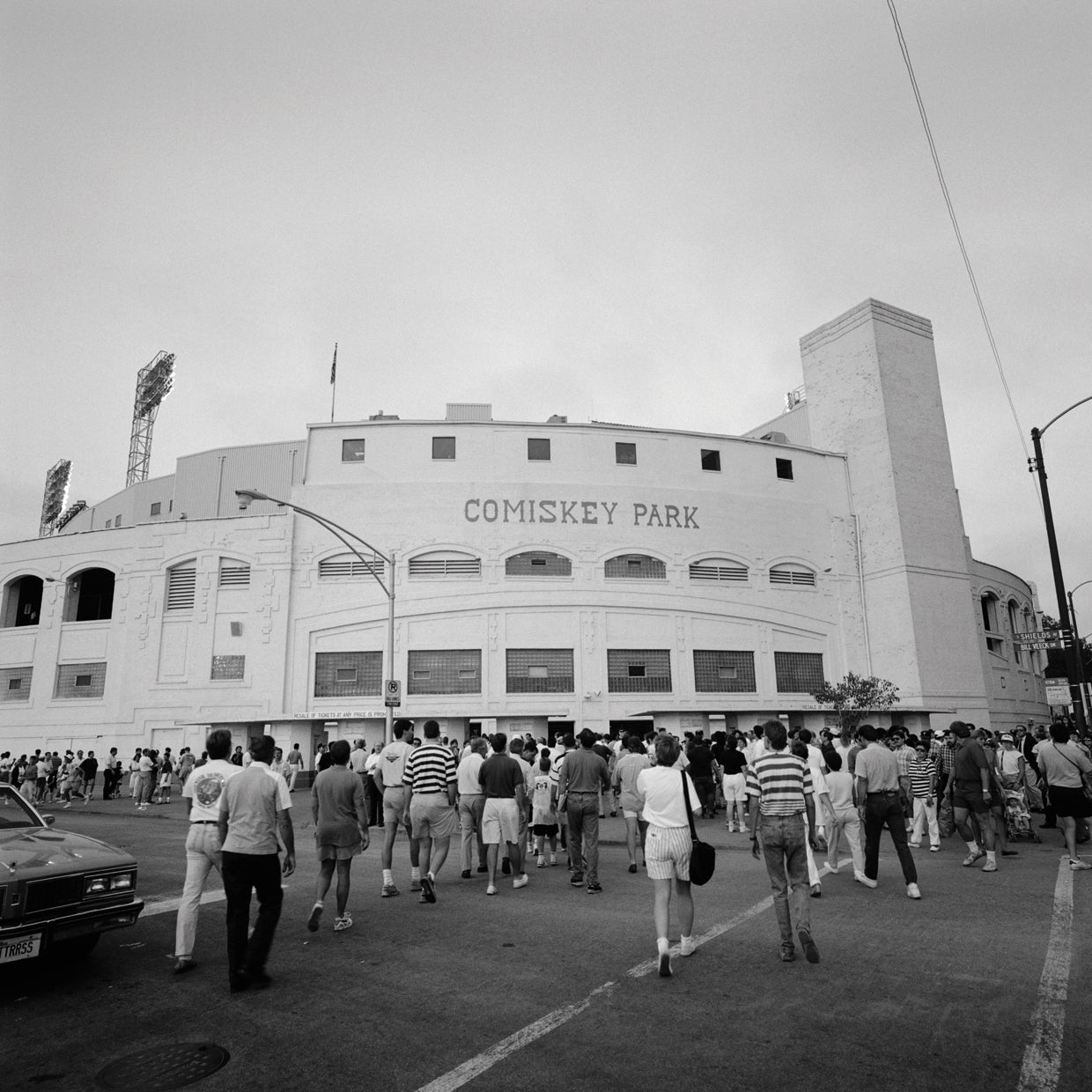 Baseball Fans Chicago