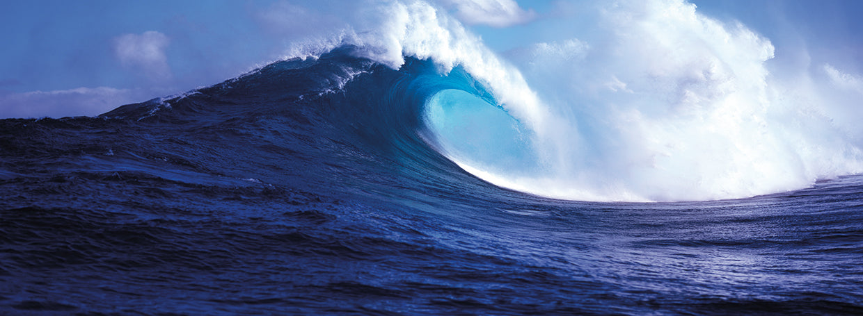 Maui Wave Splashdown