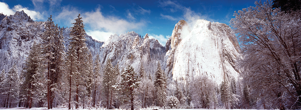 Yosemite Winter Beauty