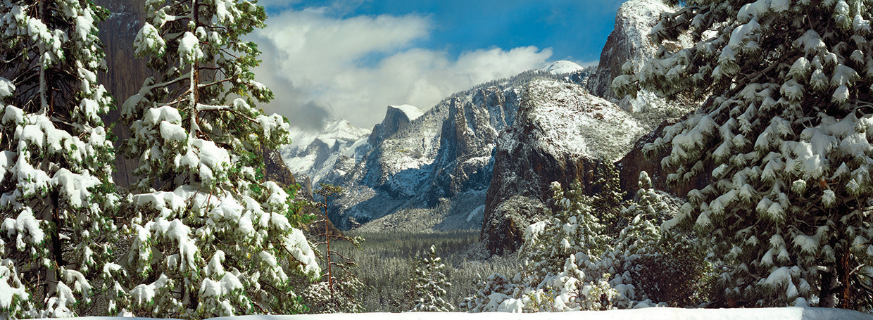 Yosemite Valley Frost