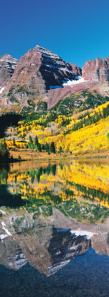 Gold Aspens Maroon Bells