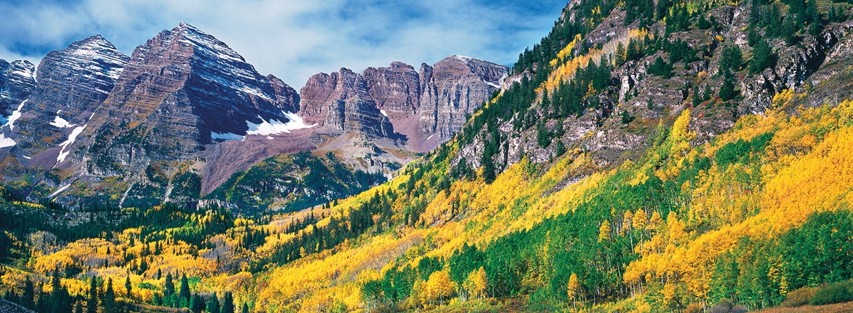 Awesome Aspen Autumn