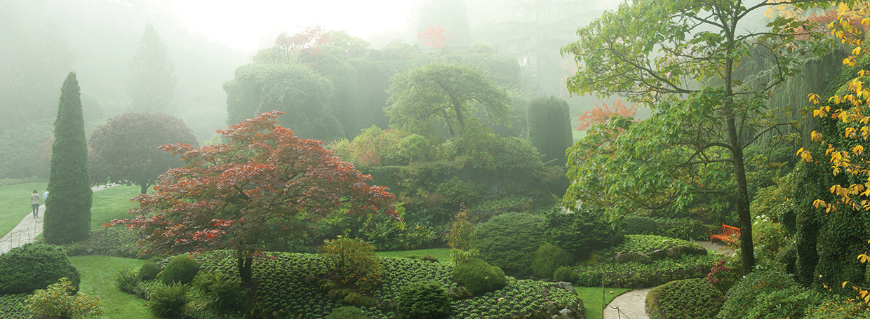 Victoria Island Nature