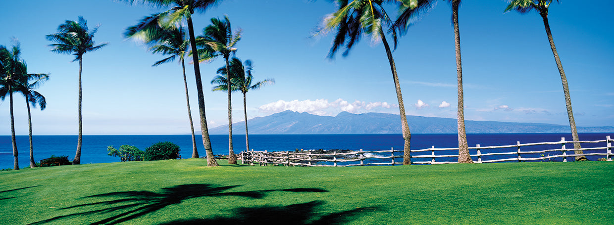 Palmas de Maui Ritzy Lienzo