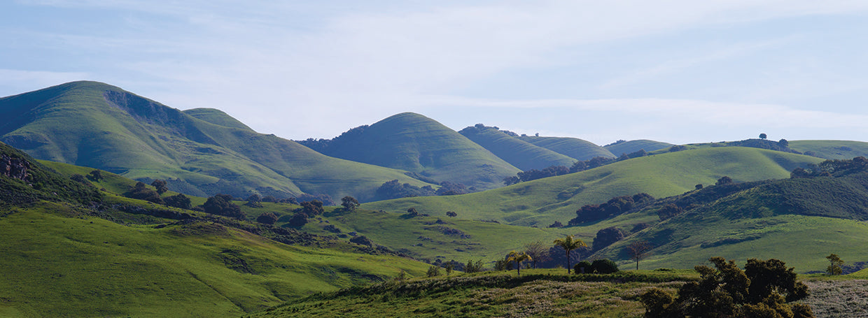 Valle de Edna de California Lienzo