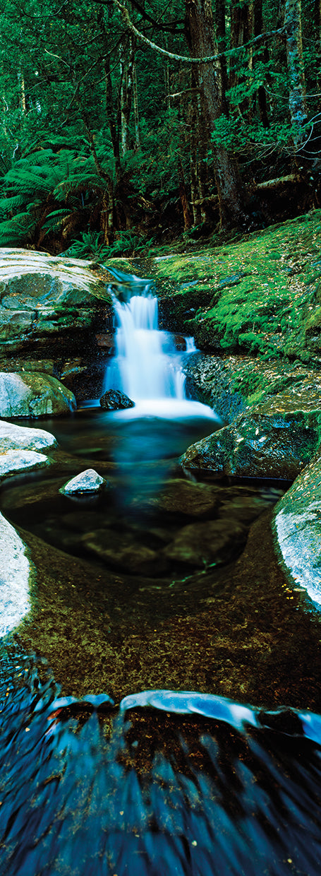 Tasmania Forest River