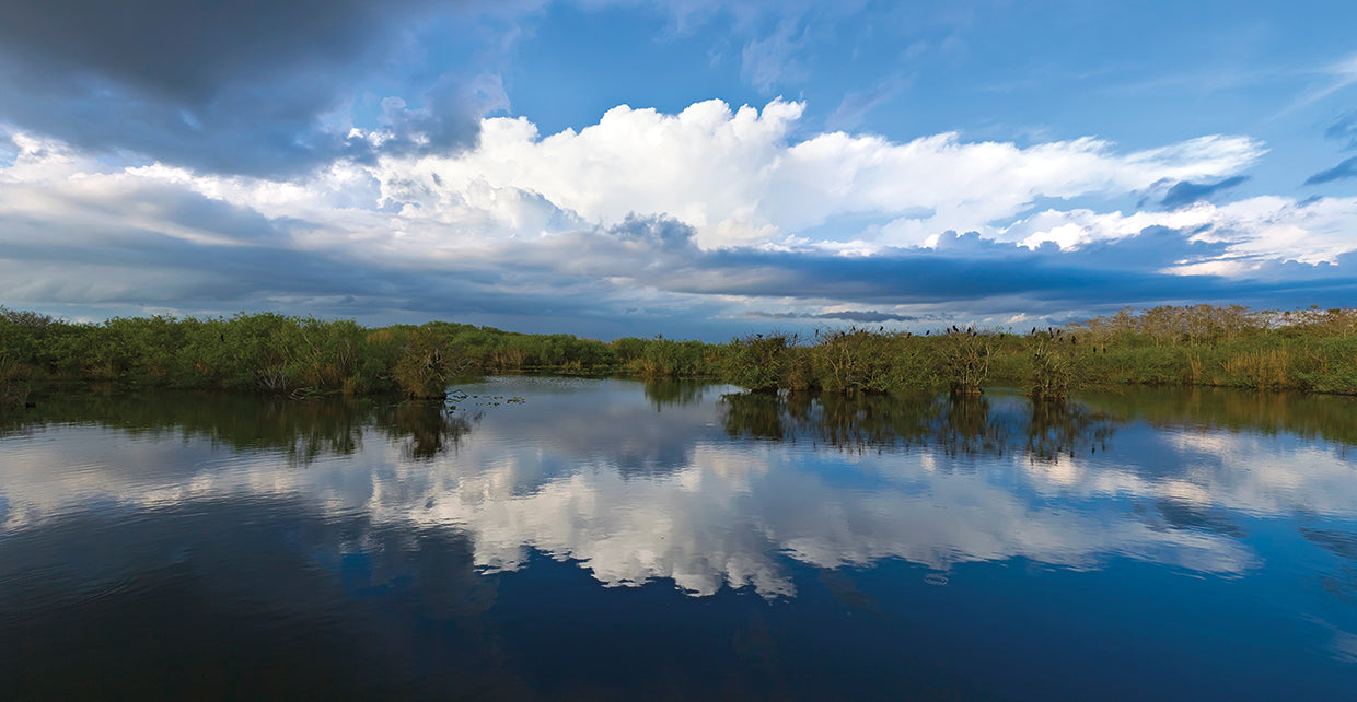 Espejo de nube Everglades Lienzo