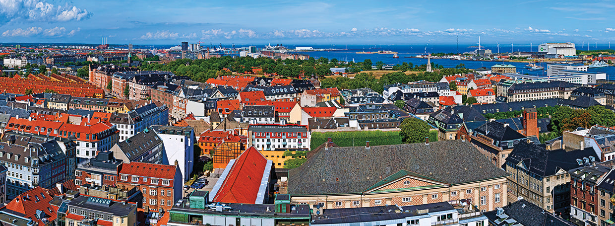 Tejados de Copenhague Lienzo