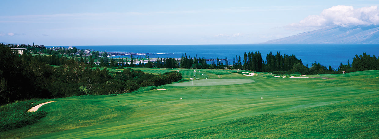 Oceanside Golfing Maui