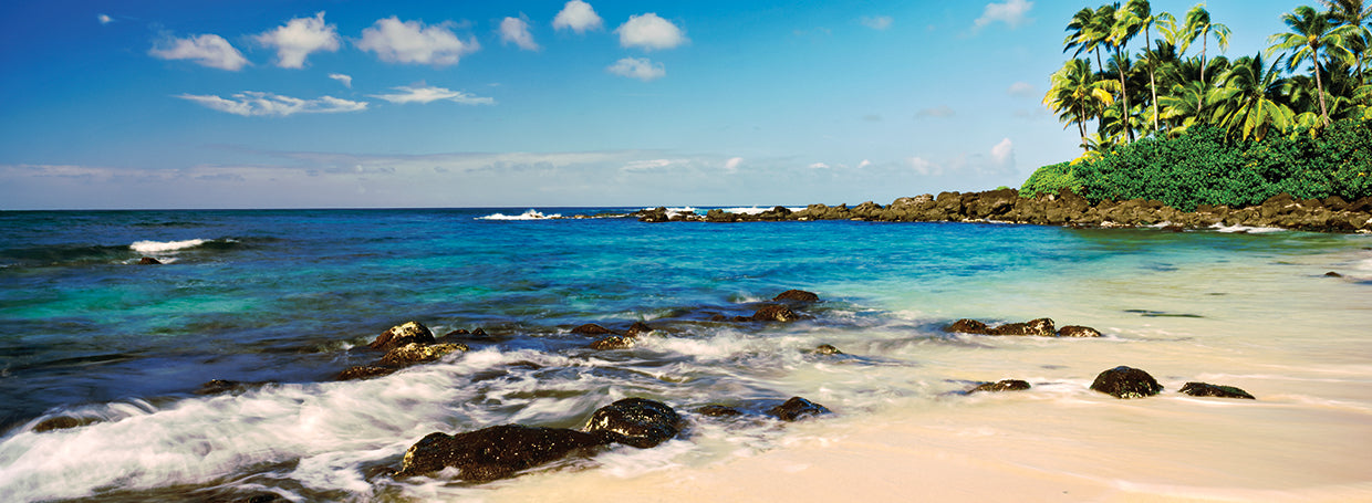 Oahu Favorite Beach