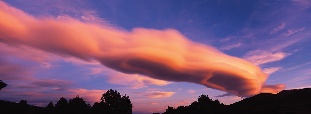 California Pink Clouds